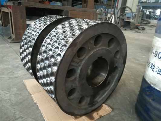 Lieferung von 1-30 t/h Brikettmaschinen-Rollsegment und Lagerschokken für kalte Warmwalzen